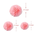 décorations d'anniversaire rose et or personnalisé pom poms fleurs glands de papier guirlande suspendue tourbillon
